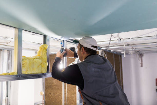 Best Energy Efficiency Insulation in El Jon, CA